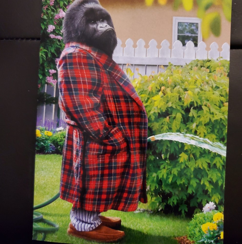 Meet your Posher, Don